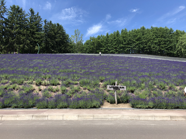 メーカーCADオペレータ！3Dソフト学べます！